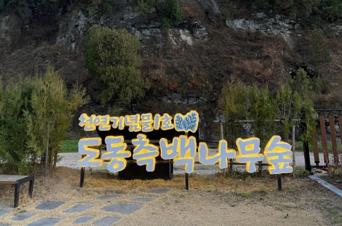 이미지1