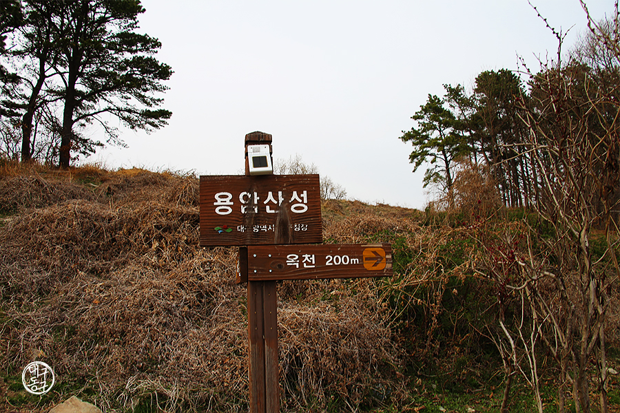 이미지1
