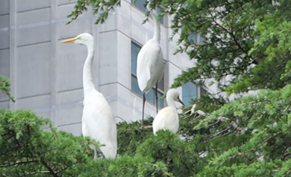 이미지1
